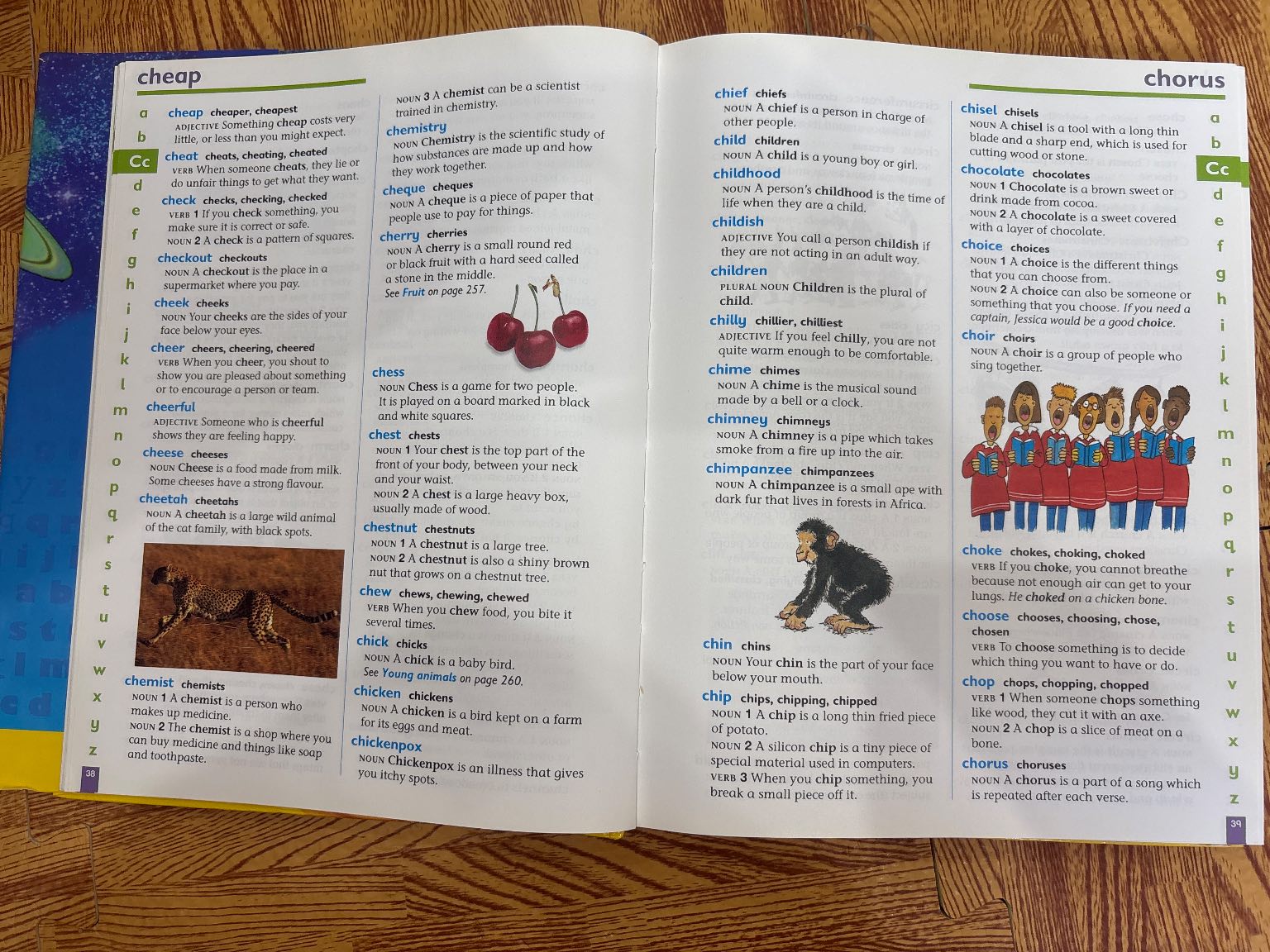 Collins Junior Dictionary — ảnh 2