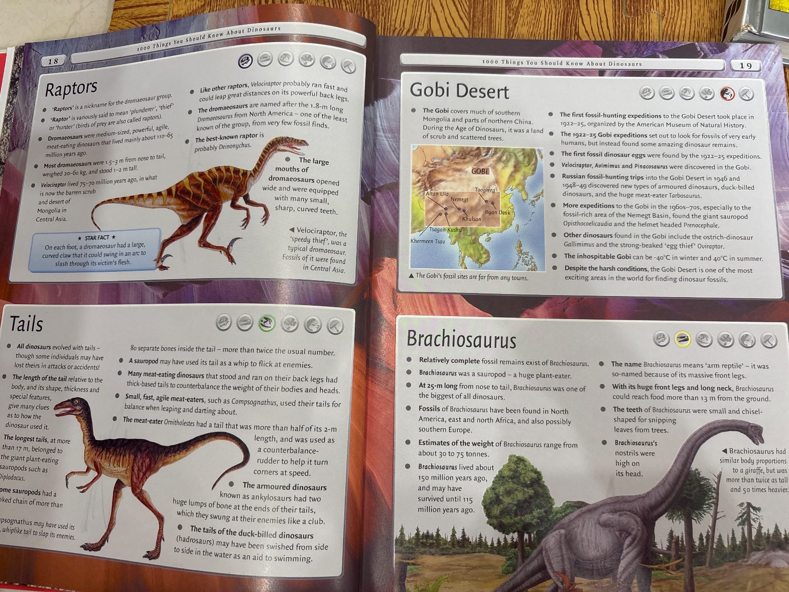4000 things you should know about Animals — ảnh 2