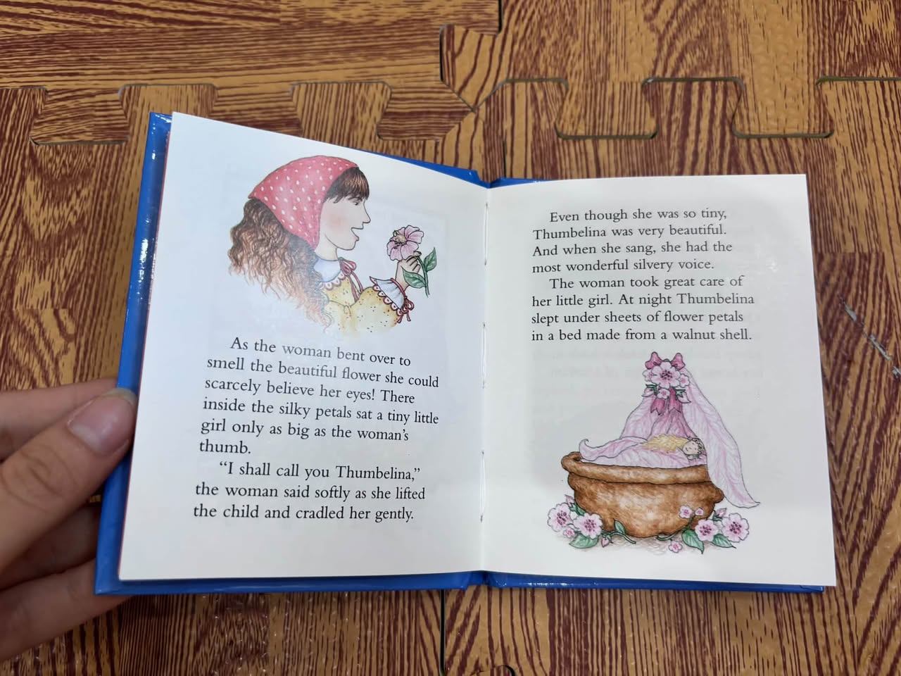 Thumbelina – Illustrated by Fran Thatcher — ảnh 2