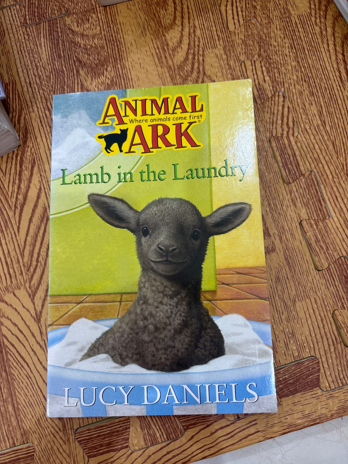 Lamb in the Laundry — ảnh 1