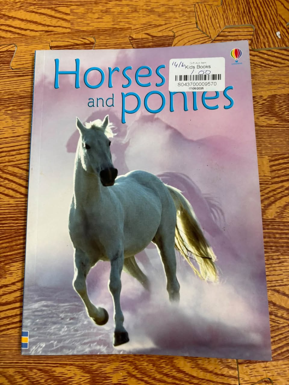 HORSES AND PONIES (USBORNE DISCOVERY / BEGINNERS) — ảnh 1