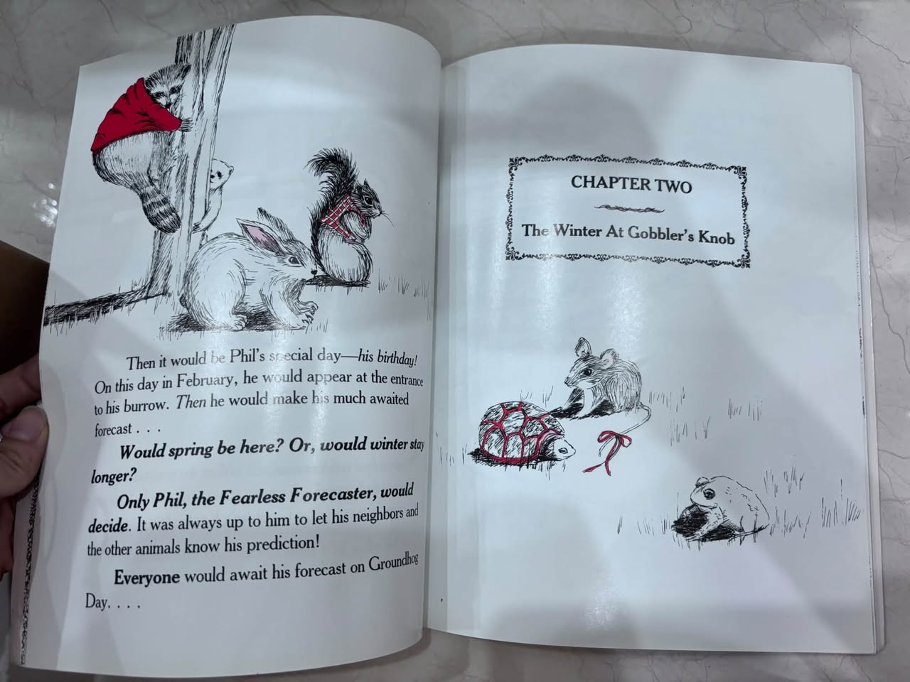 THE STORY OF PUNXSUTAWNEY PHIL: "THE FEARLESS FORECASTER" — ảnh 4