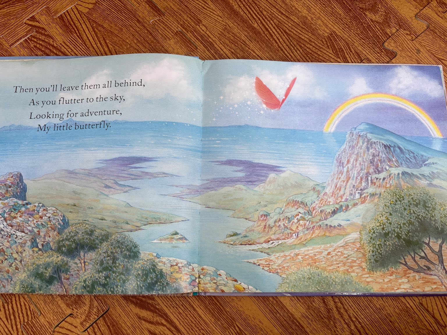 If Your Dreams Take Off and Fly — ảnh 3