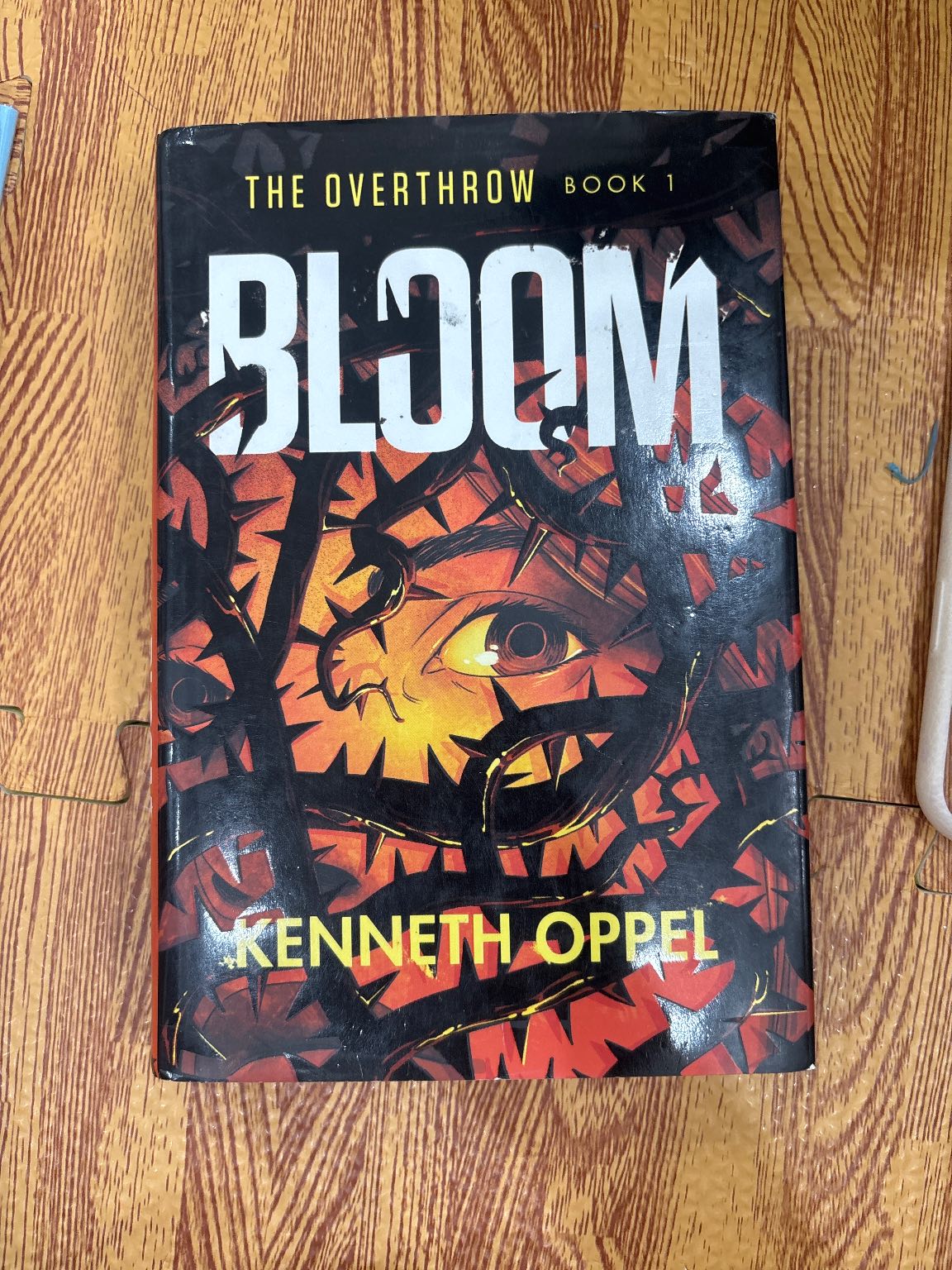 BLOOM — ảnh 1
