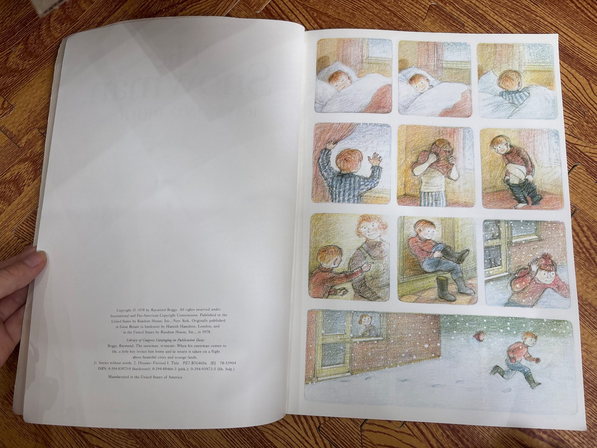 The Snowman — ảnh 3