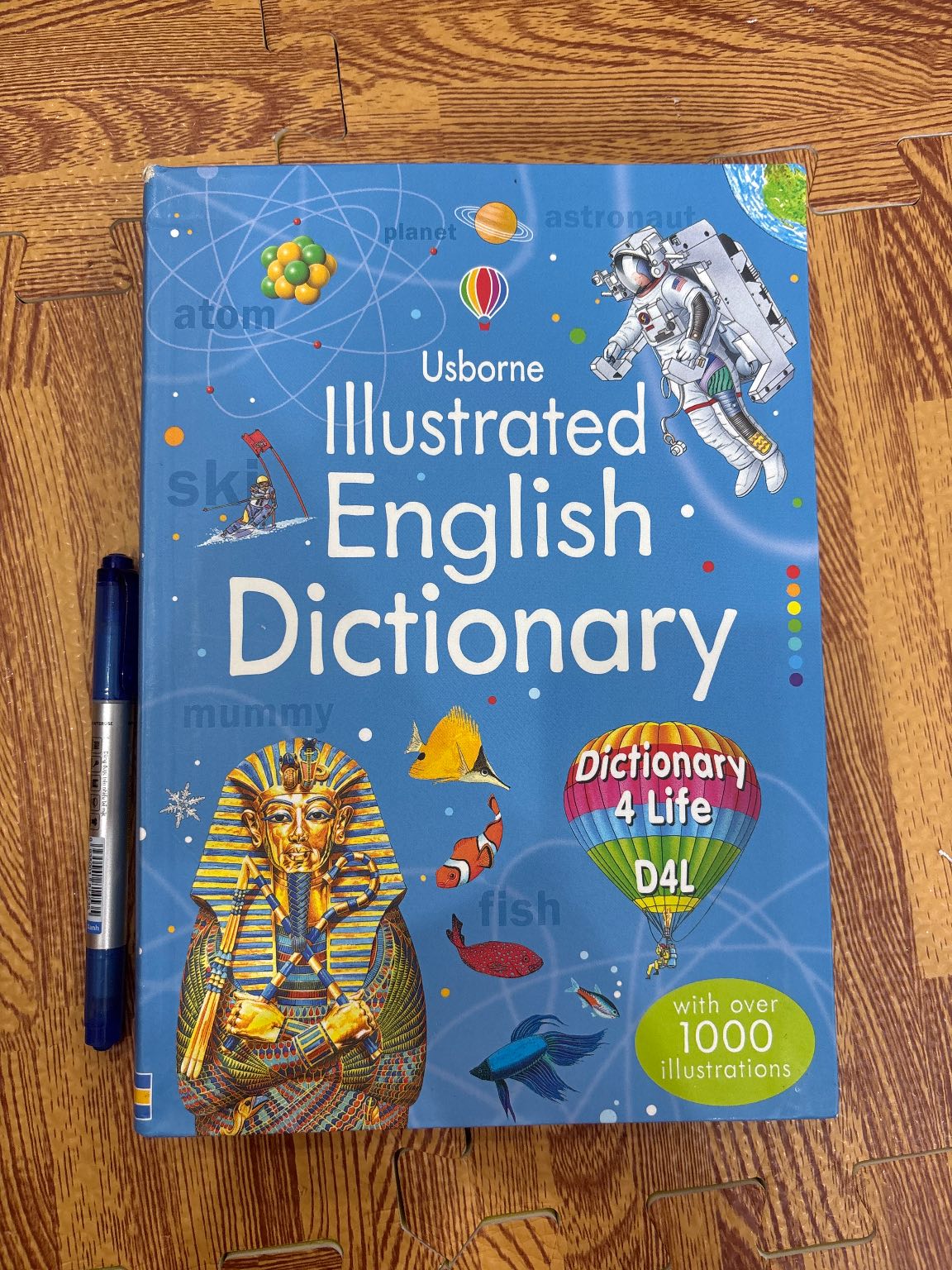Usborne Illustrated English Dictionary