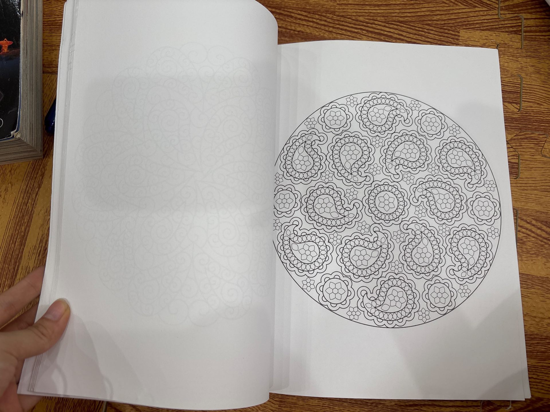 Paisley Mandalas — ảnh 5
