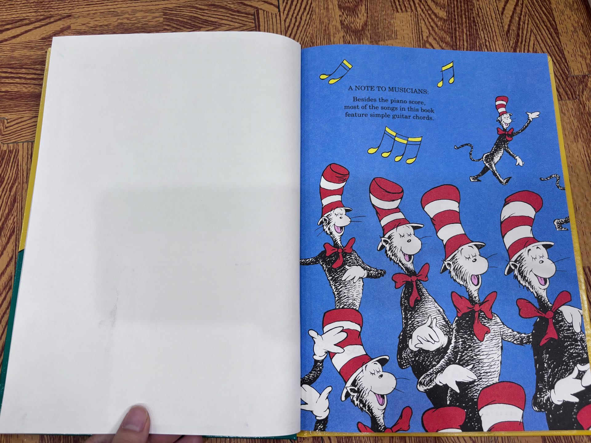 THE CAT IN THE HAT SongBook — ảnh 4