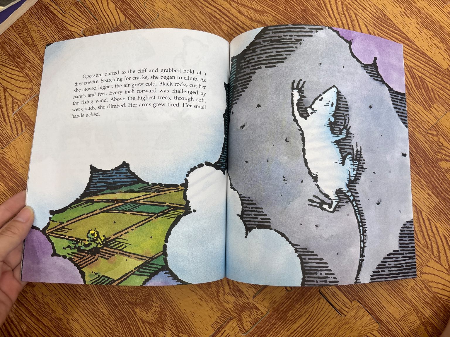 Opossum and the Great Firemaker — ảnh 5