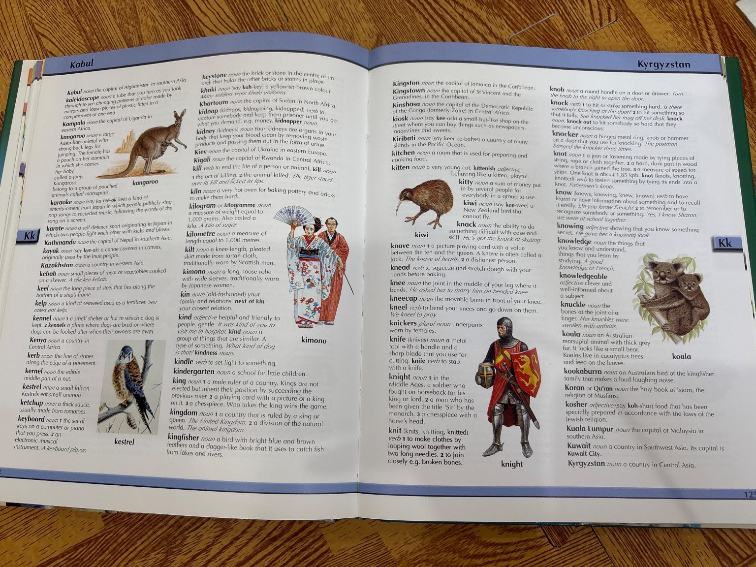CHILDREN'S ILLUSTRATED DICTIONARY — ảnh 4