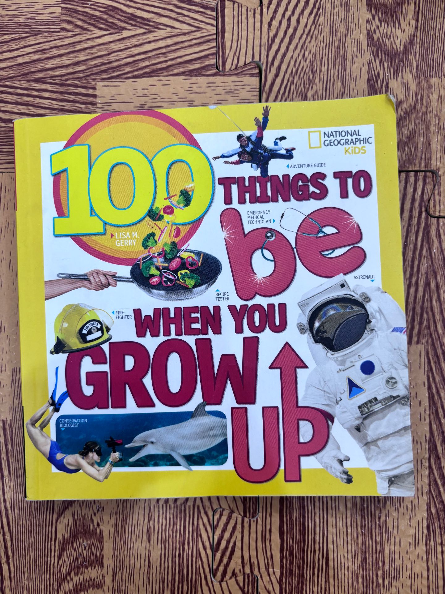 100 Things to Be When You Grow Up — ảnh 1