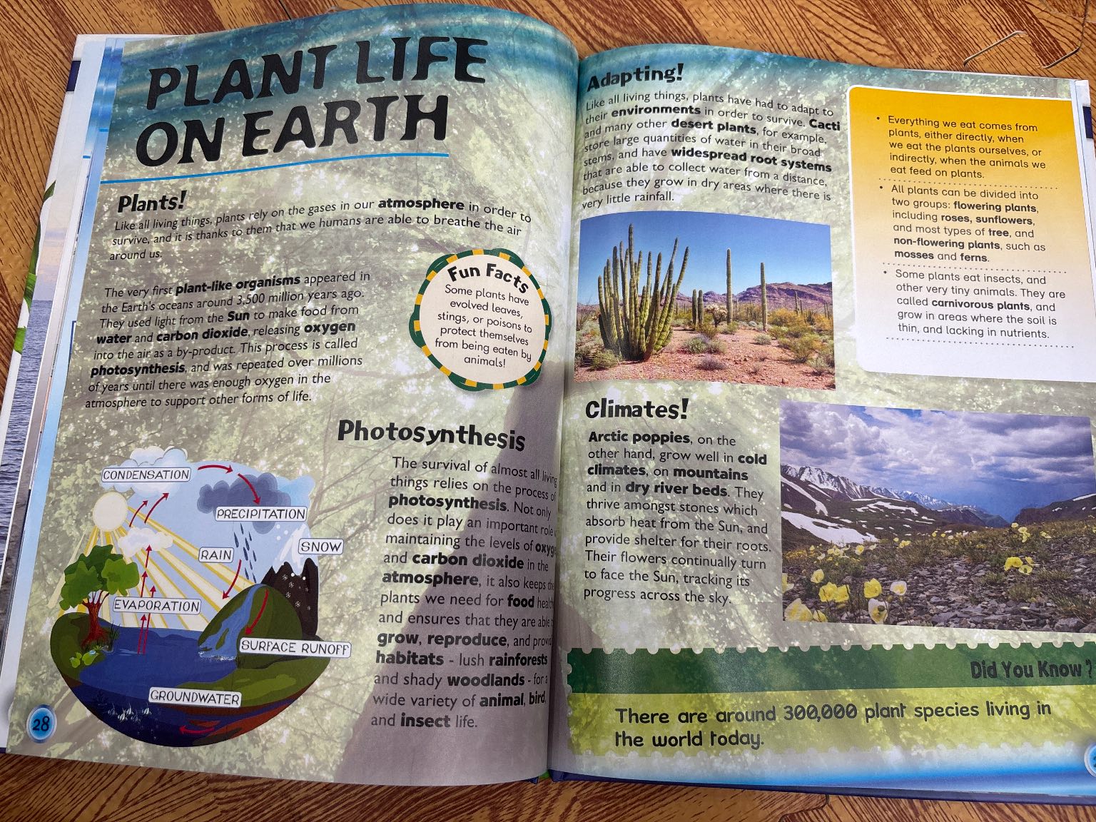 Discover the Earth — ảnh 4