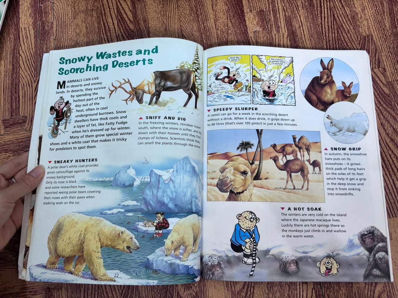 The Beano Book of Amazing Animals — ảnh 2