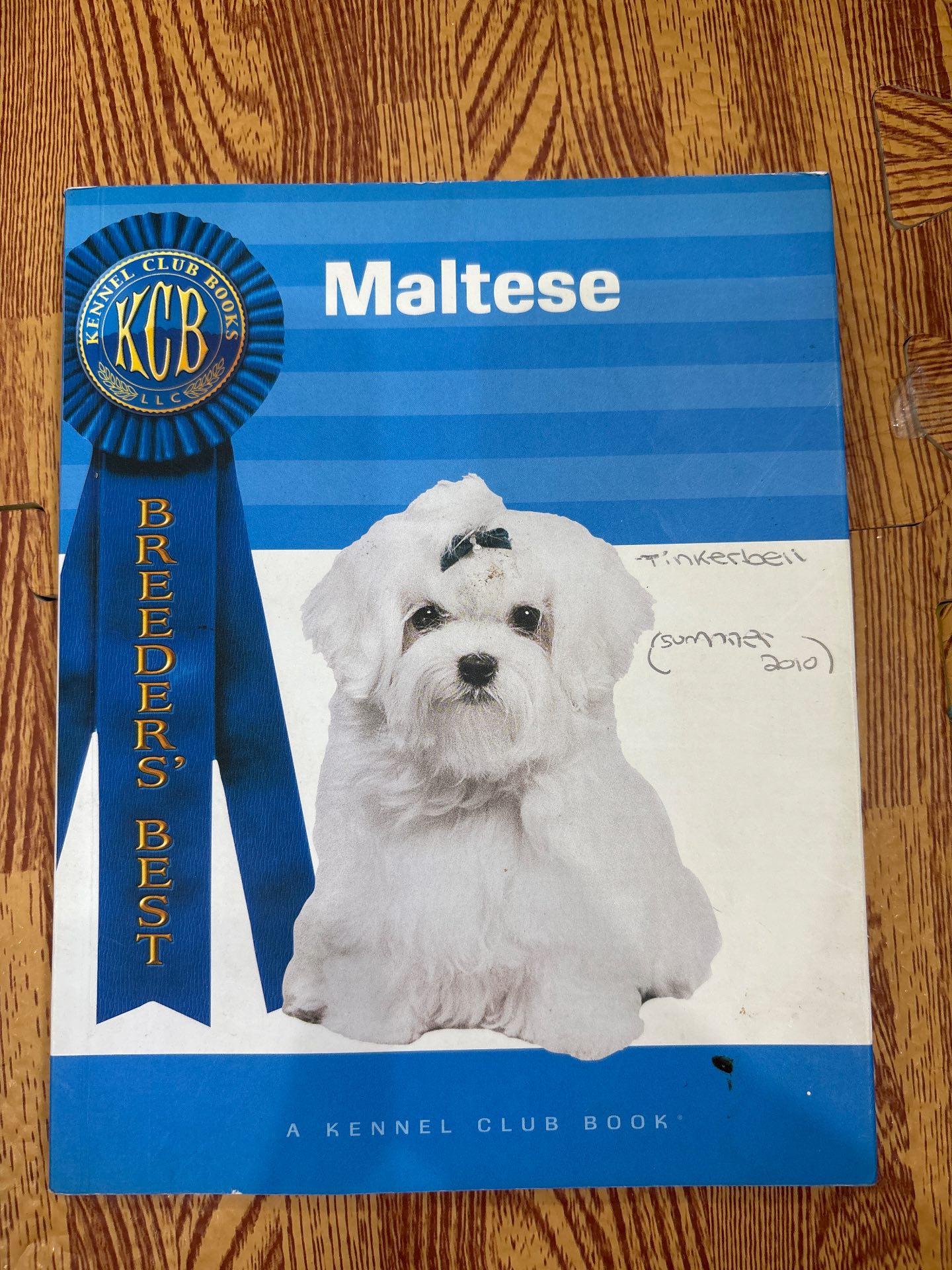 Maltese