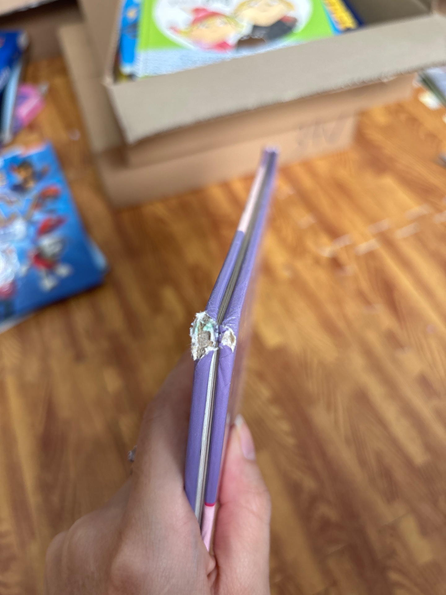 Little Ballet Star — ảnh 8
