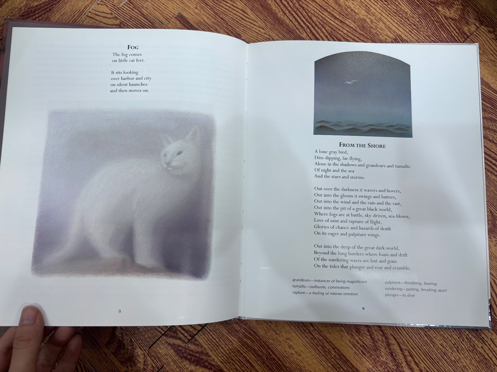 Poetry for Young People Carl Sandburg — ảnh 3