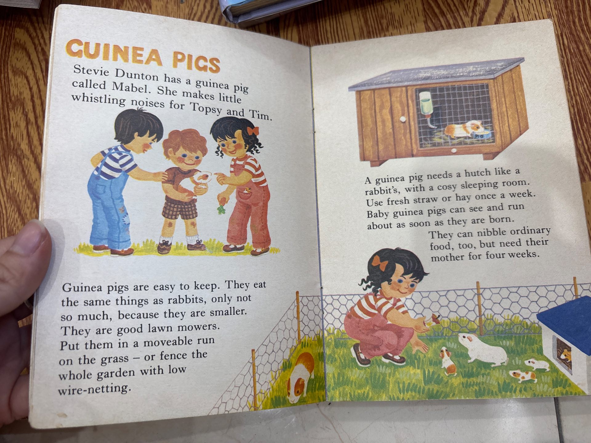 Topsy and Tim PETS — ảnh 4
