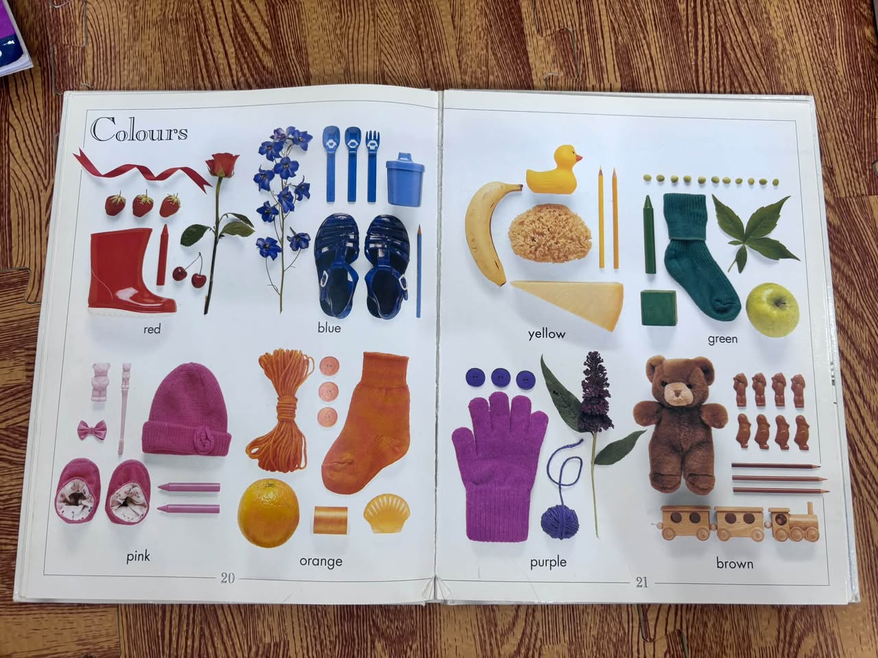 Baby’s World – A First Word Book and Picture Catalogue — ảnh 5