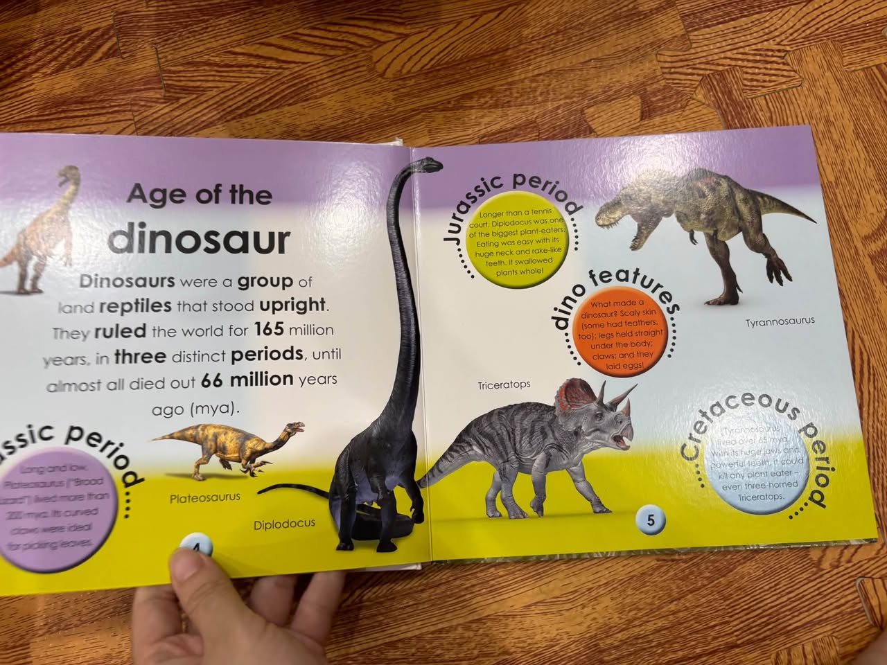 DK FIRST FACTS: DINOSAURS — START A LIFETIME OF LEARNING — ảnh 3