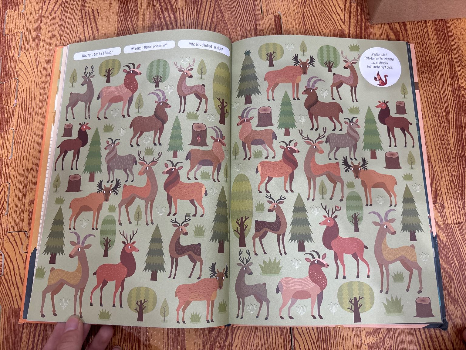 Find Me! Adventures in the Forest — ảnh 4