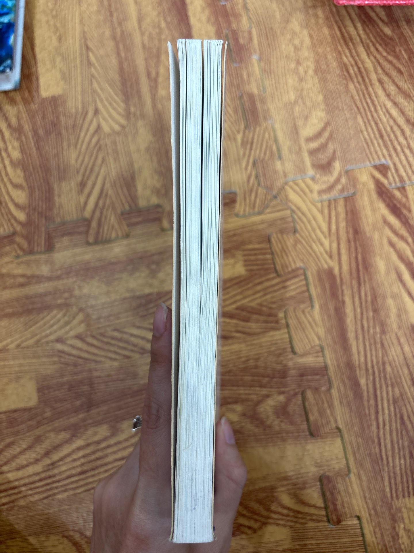 The Little Animal Encyclopedia — ảnh 6