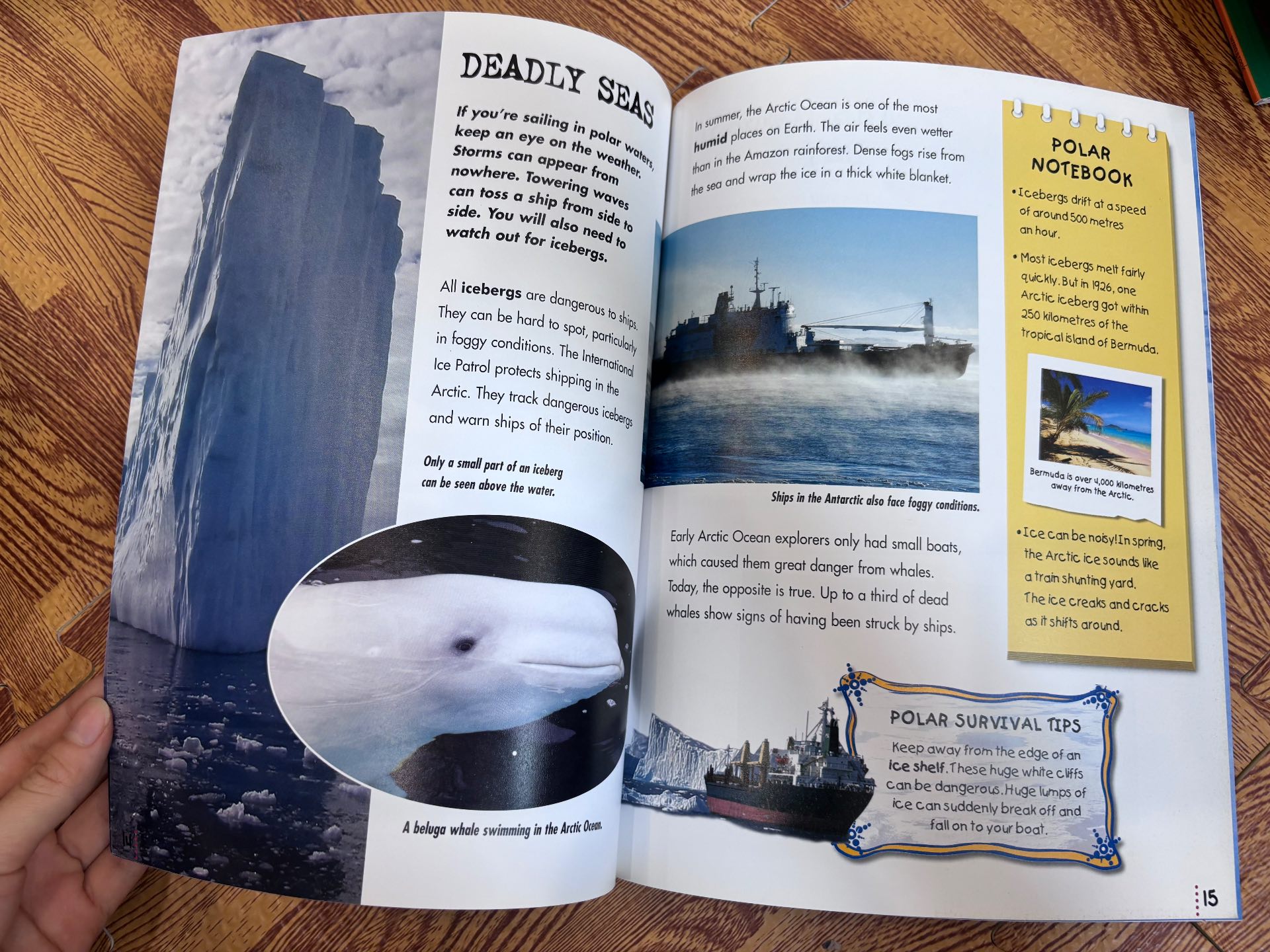Polar Regions — ảnh 2
