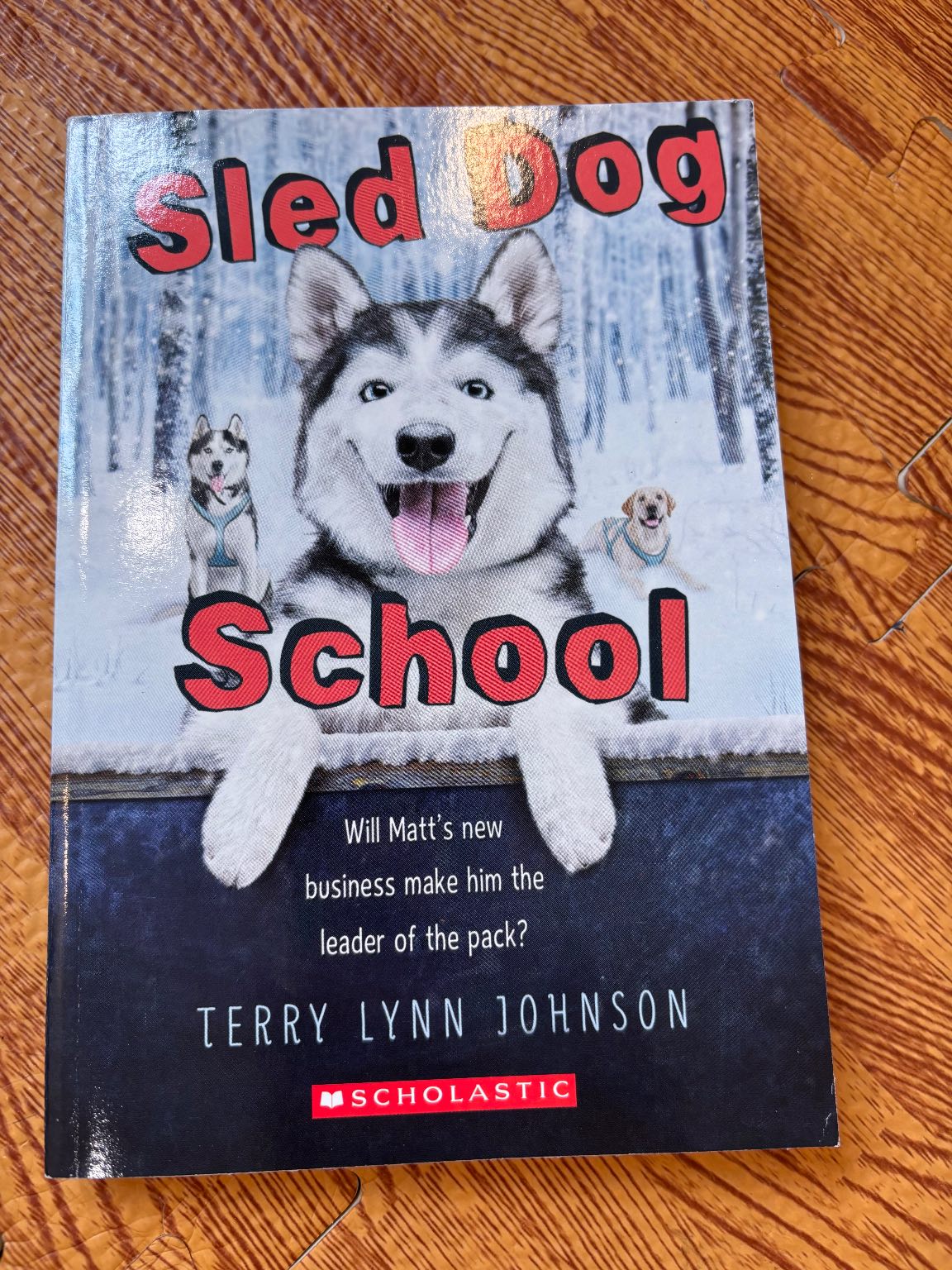 Sled Dog School — ảnh 1