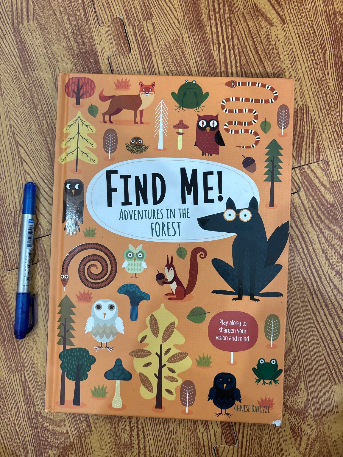 Find Me! Adventures in the Forest