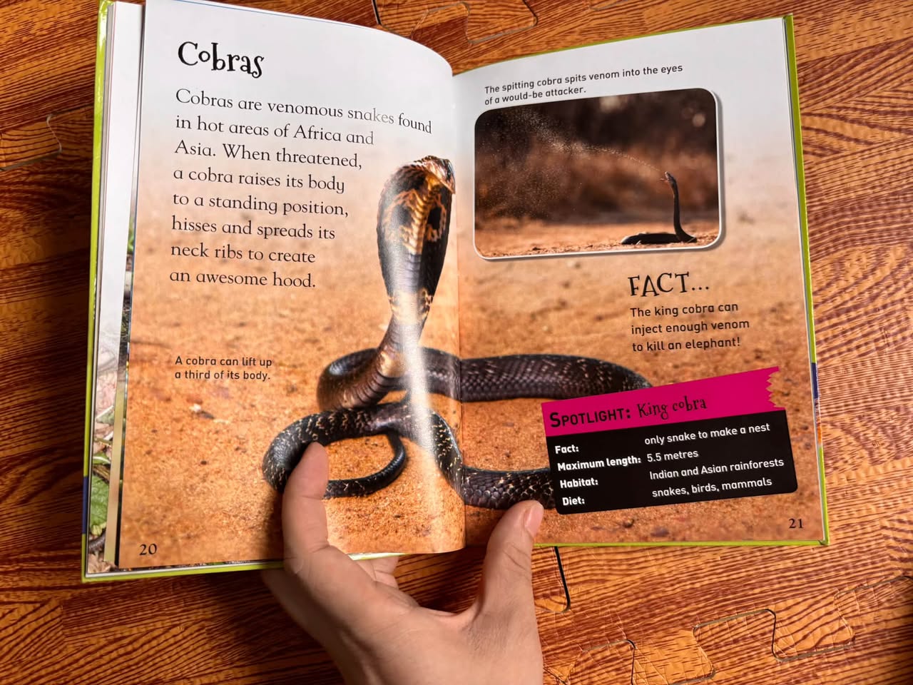 SLITHERING SNAKES (DISCOVERY KIDS / EARLY READERS) — ảnh 5