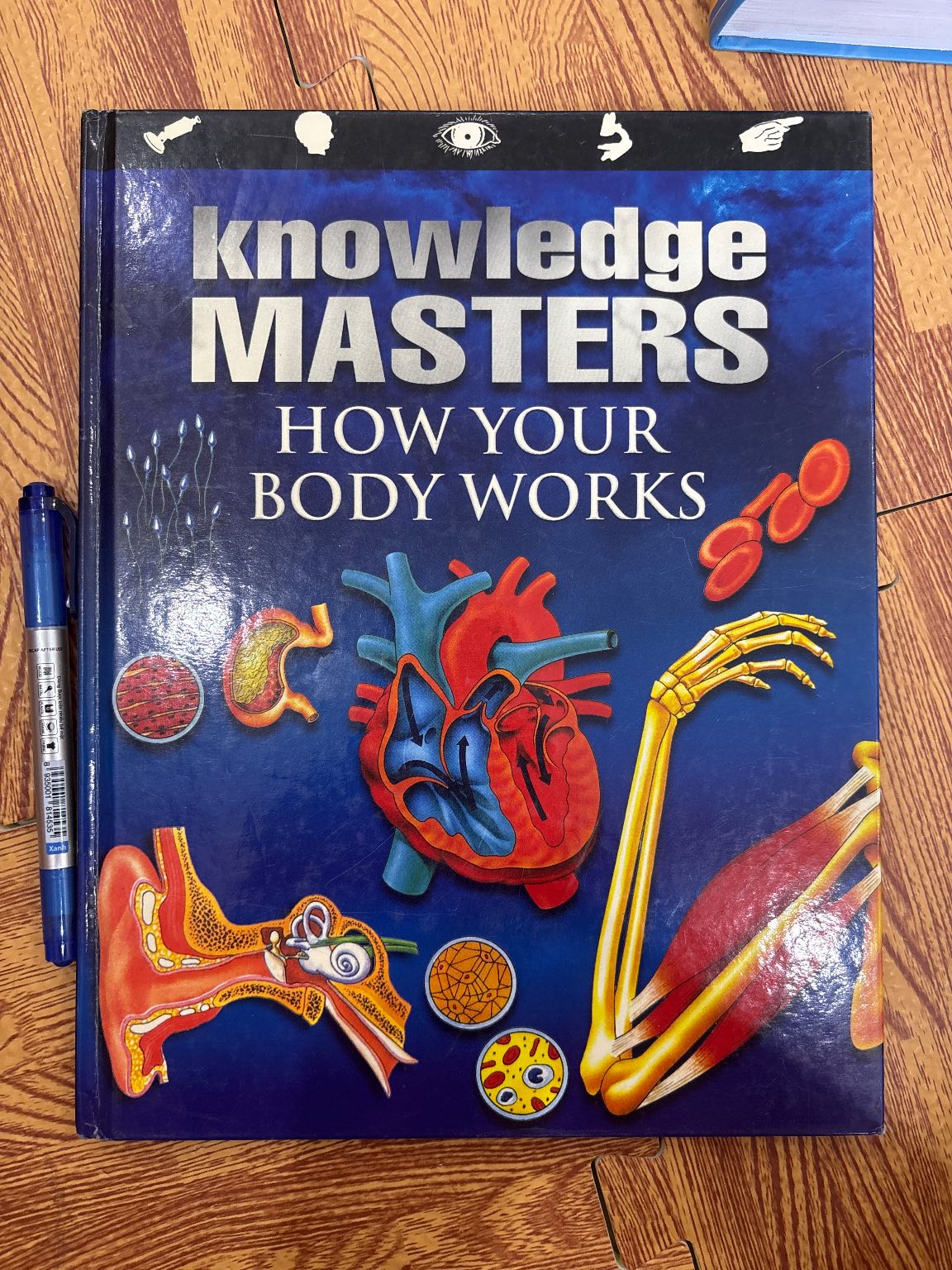 Knowledge Masters How Your Body Works — ảnh 1