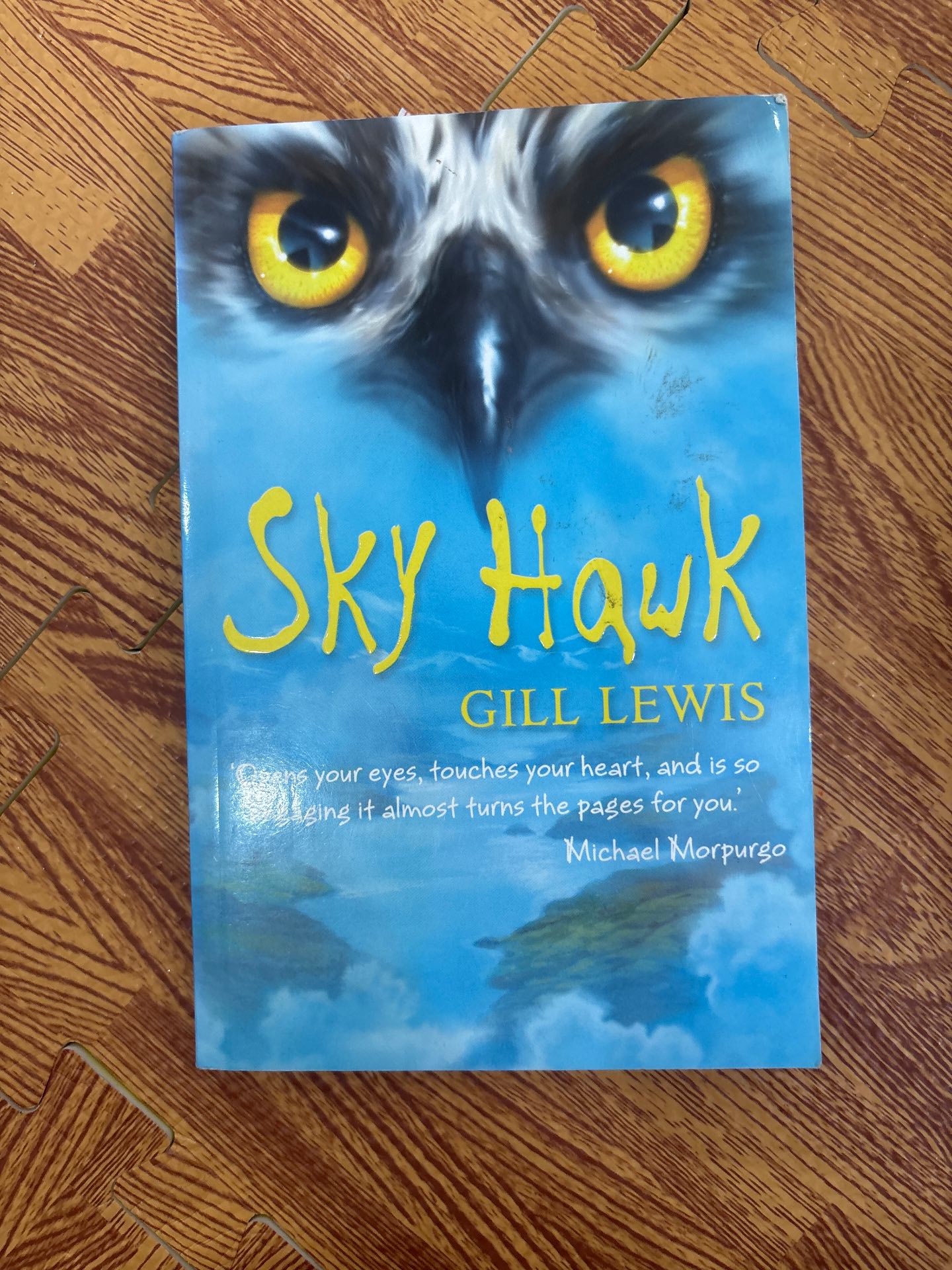 Sky Hawk — ảnh 1