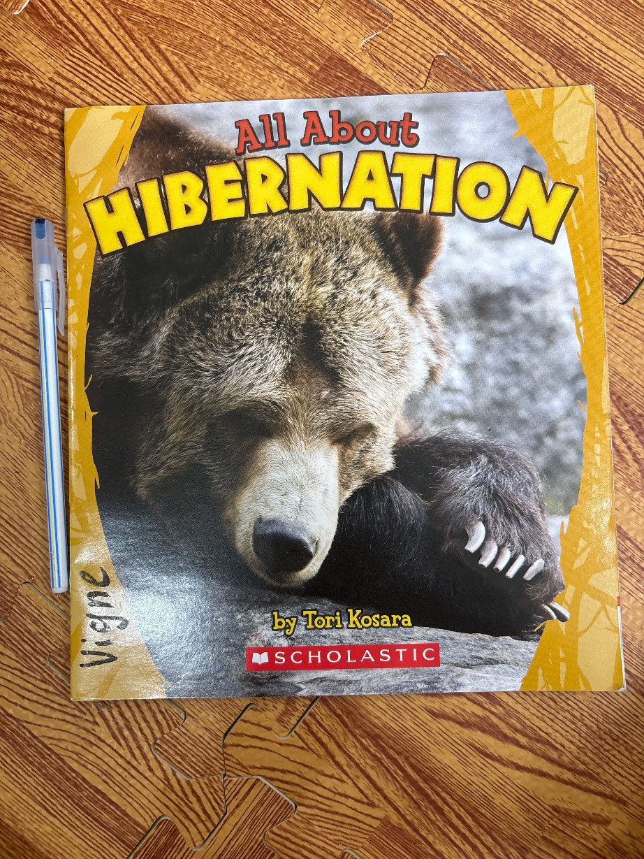 All About HIBERNATION — ảnh 1