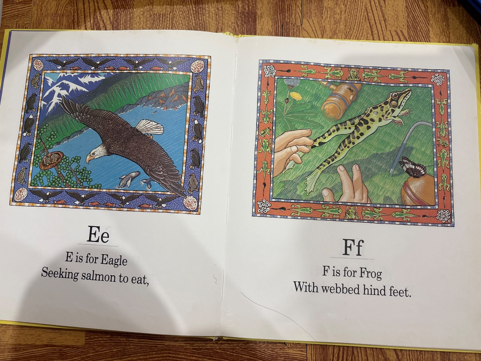 The Wildlife ABC — ảnh 3