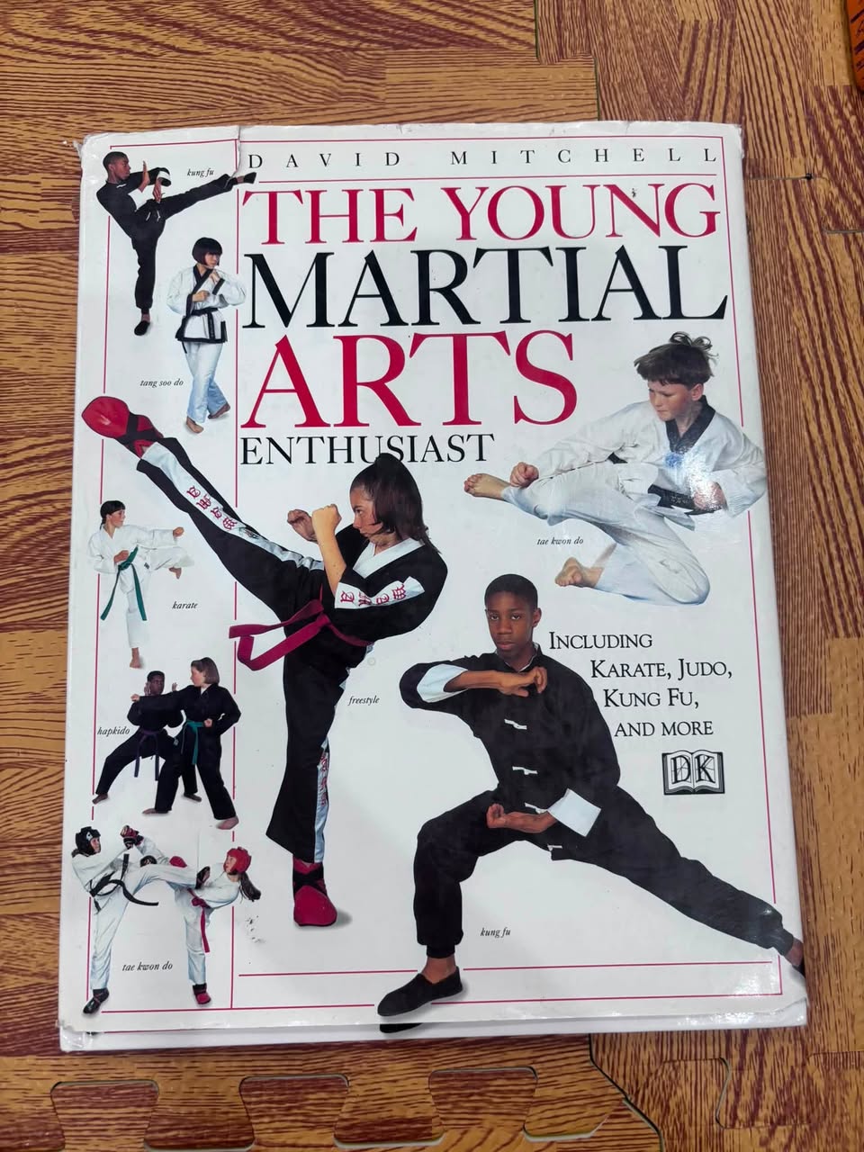 THE YOUNG MARTIAL ARTS ENTHUSIAST - DAVID MITCHELL