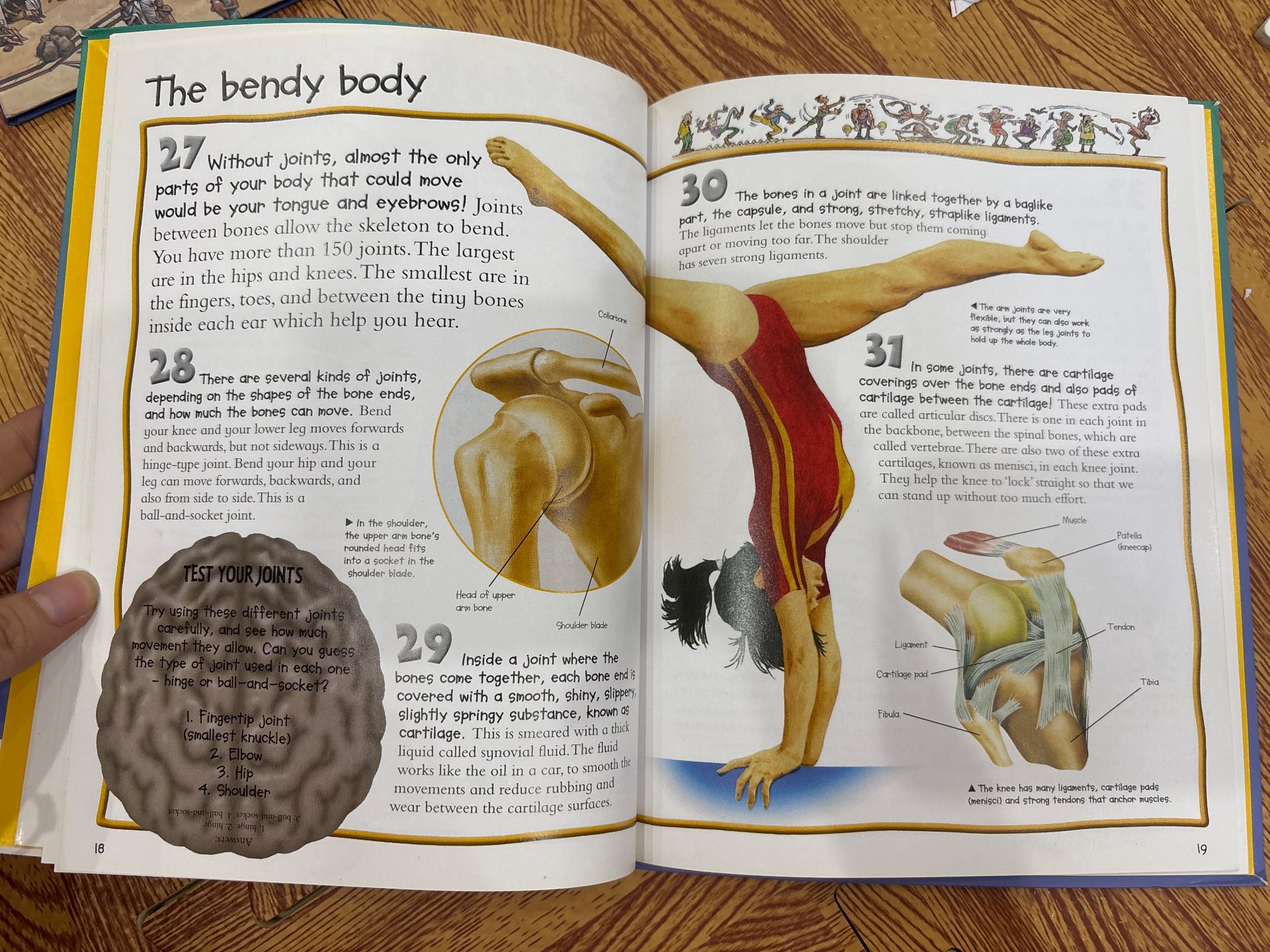 100 things you should know about THE HUMAN BODY — ảnh 3