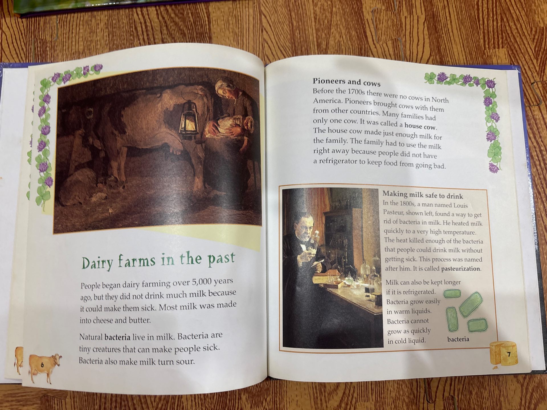 Hooray for DAIRY FARMING! — ảnh 4
