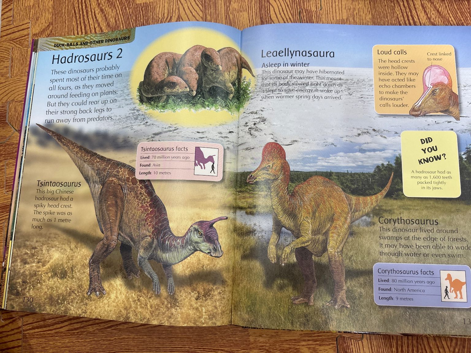 The Children's Encyclopedia of Dinosaurs — ảnh 4