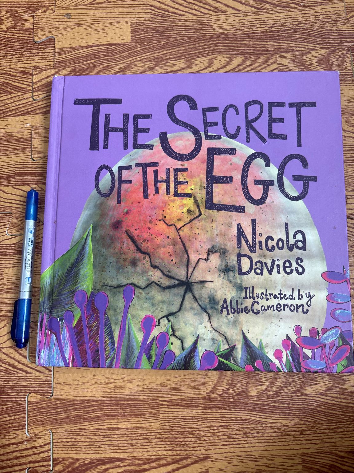 The Secret of the Egg