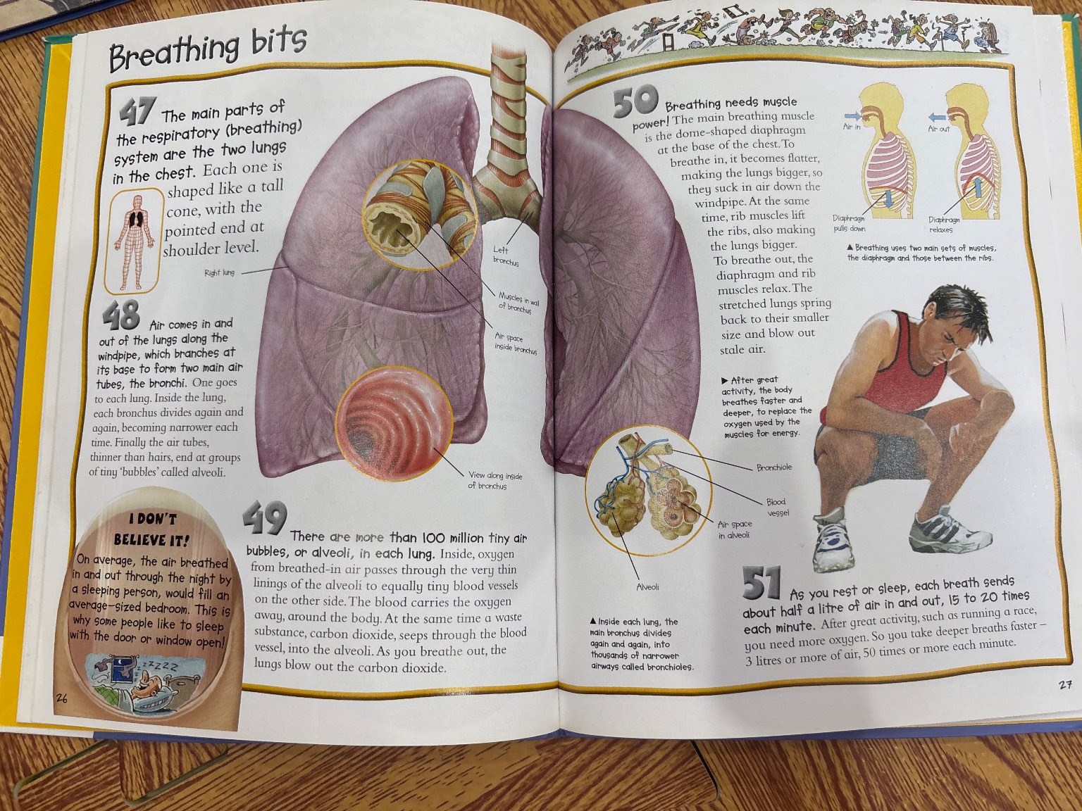 100 things you should know about THE HUMAN BODY — ảnh 4