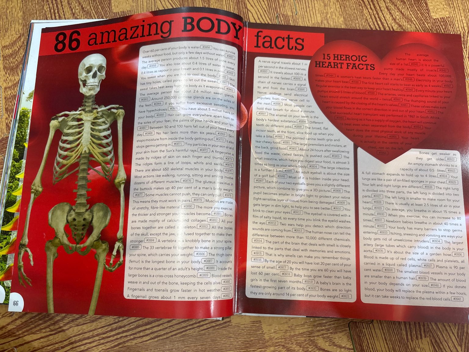 5000 AMAZING FACTS Incredible but true facts about EVERYTHING! — ảnh 3