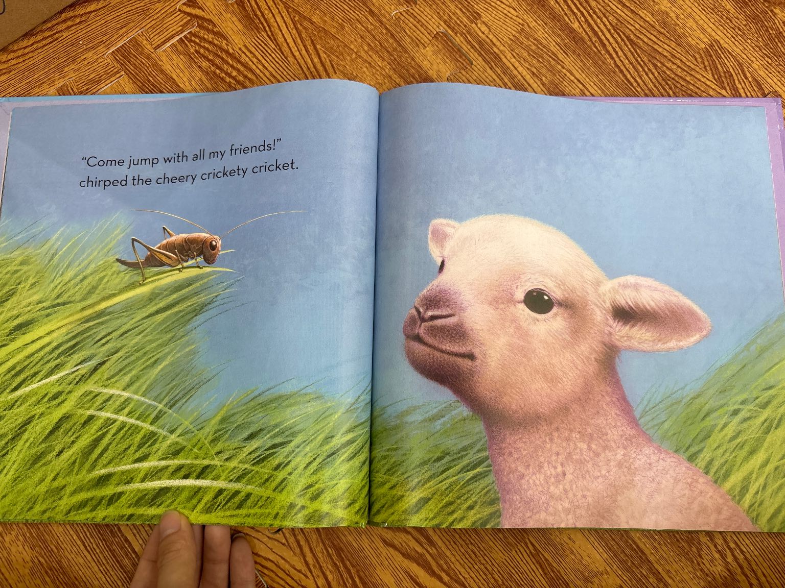 WEE LITTLE LAMB — ảnh 3