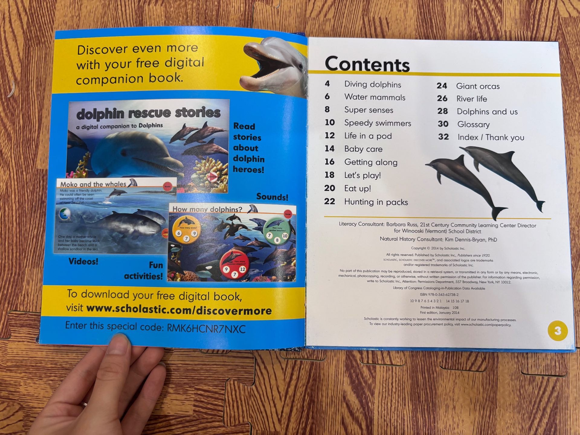 Dolphins — ảnh 2