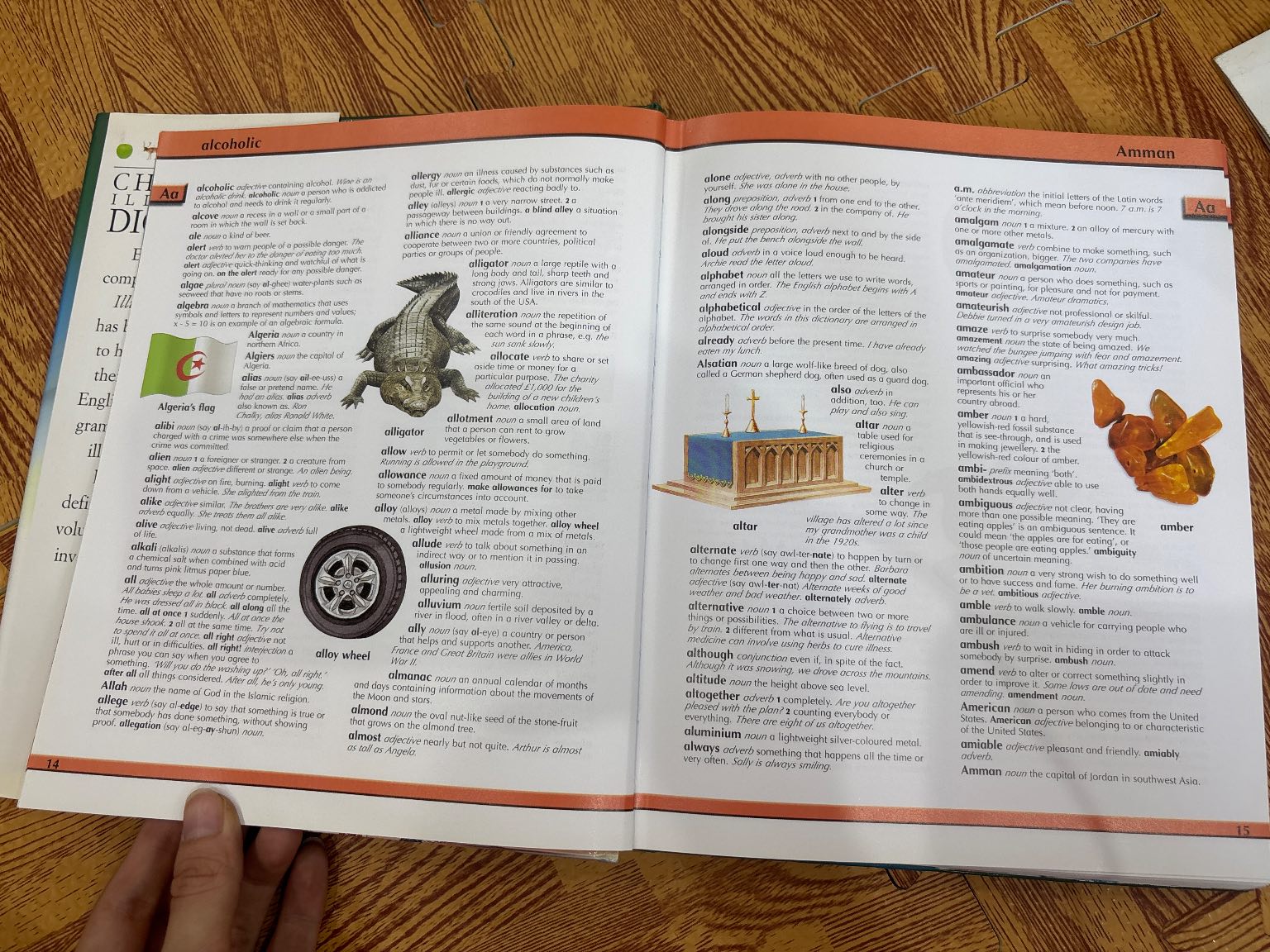 CHILDREN'S ILLUSTRATED DICTIONARY — ảnh 2