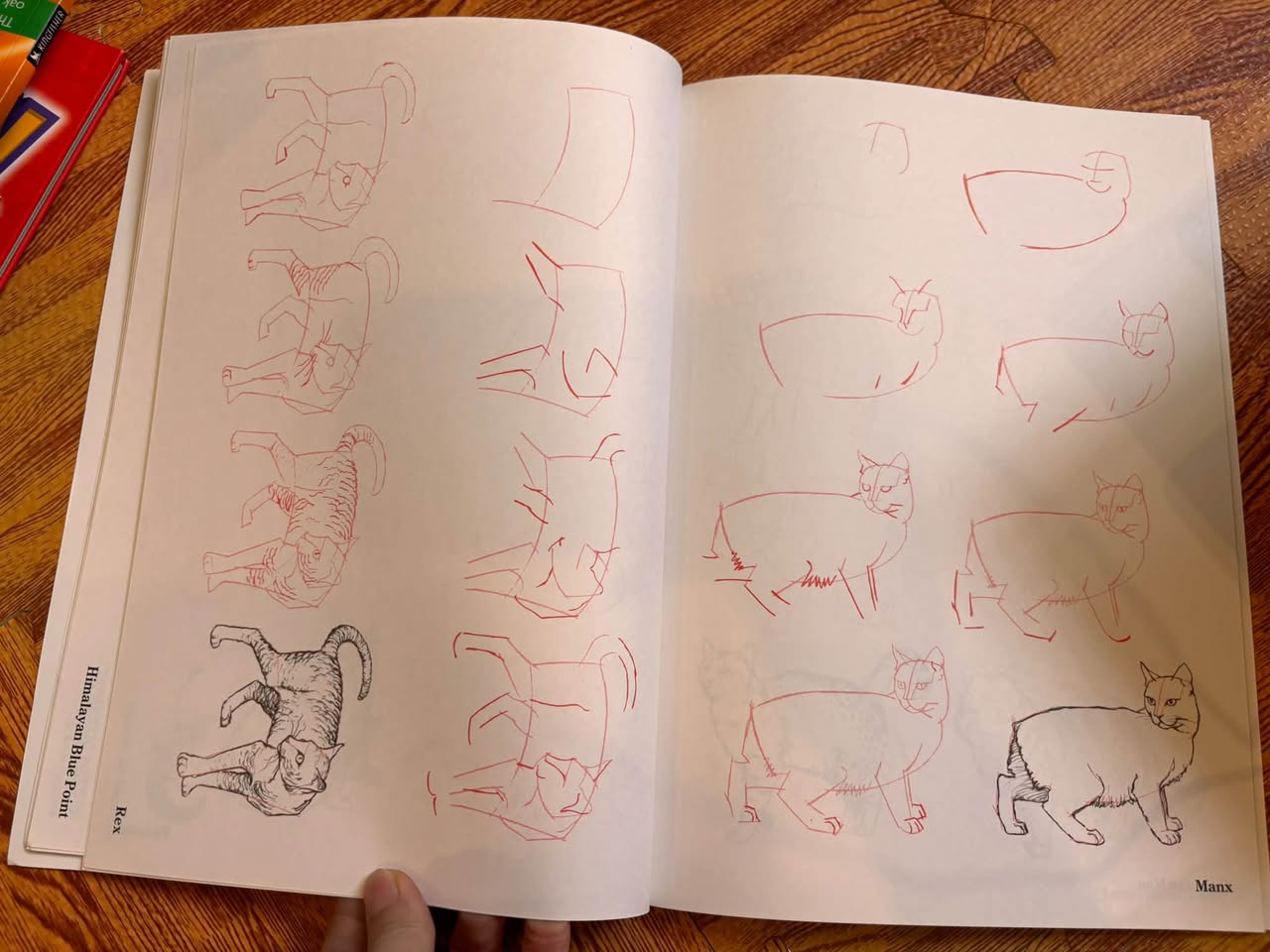 BỘ SÁCH DẠY VẼ: DRAW 50 SERIES (LEE J. AMES - KINGFISHER) — ảnh 5