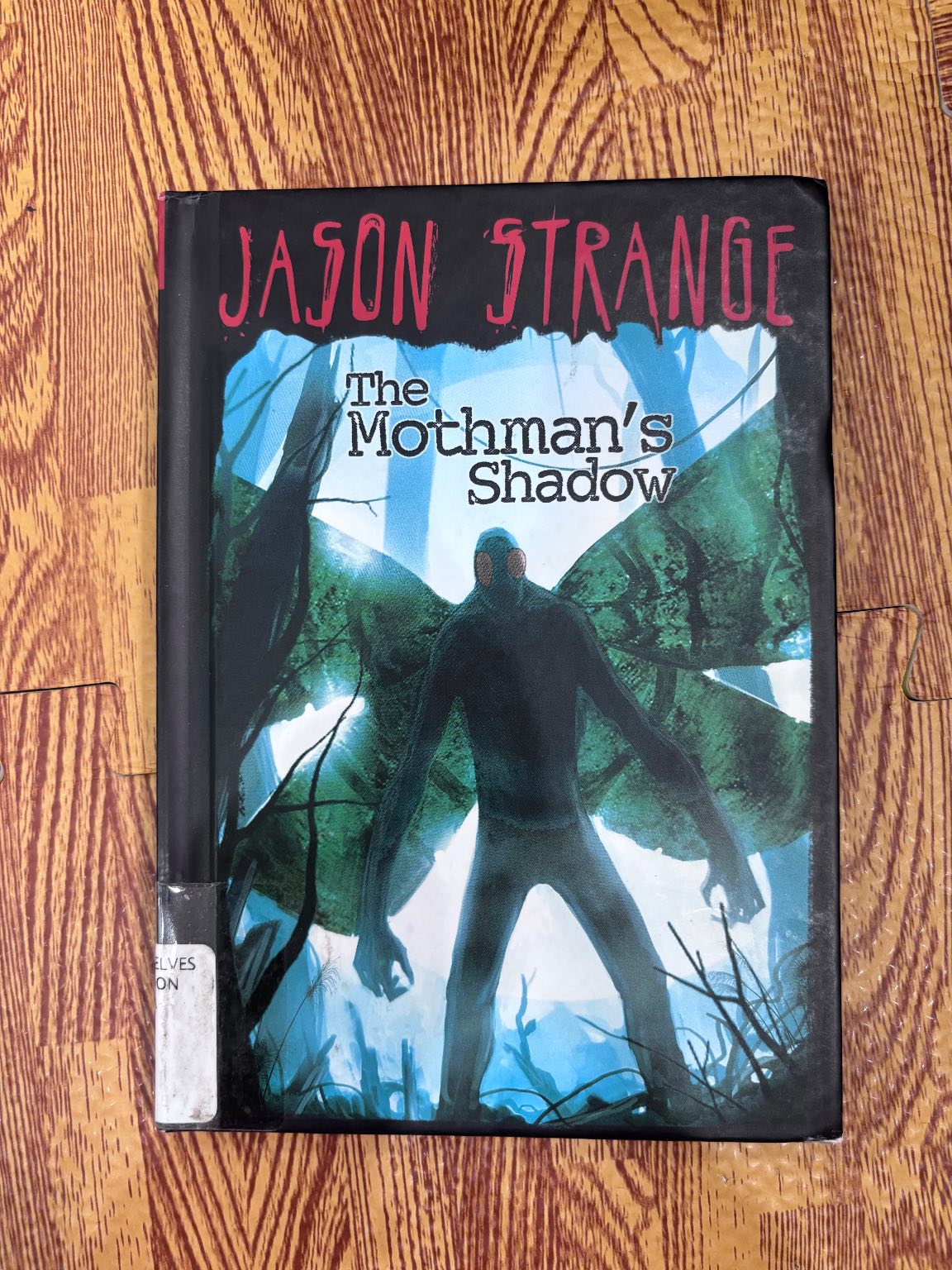 The Mothman's Shadow — ảnh 1