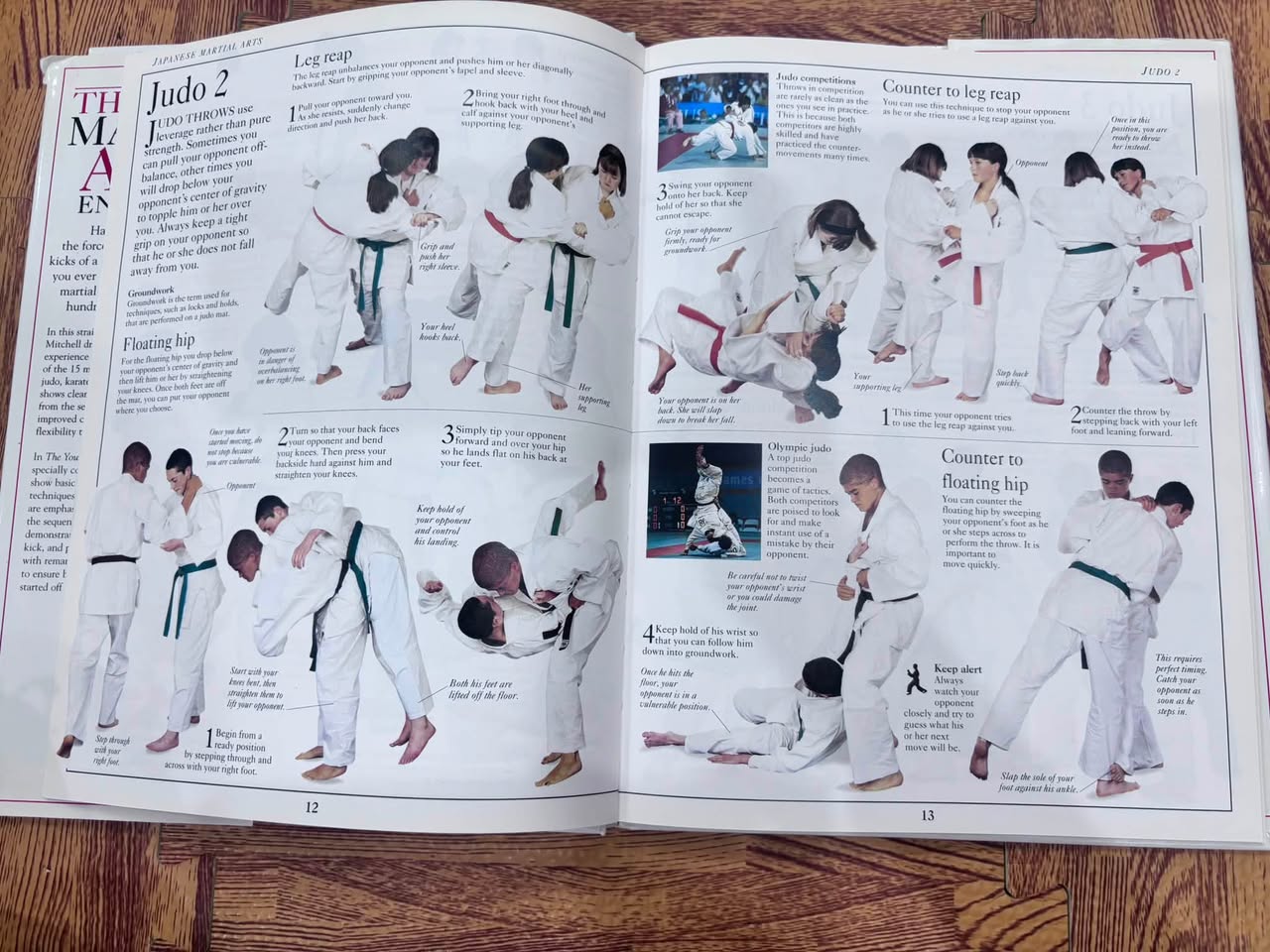 THE YOUNG MARTIAL ARTS ENTHUSIAST - DAVID MITCHELL — ảnh 2