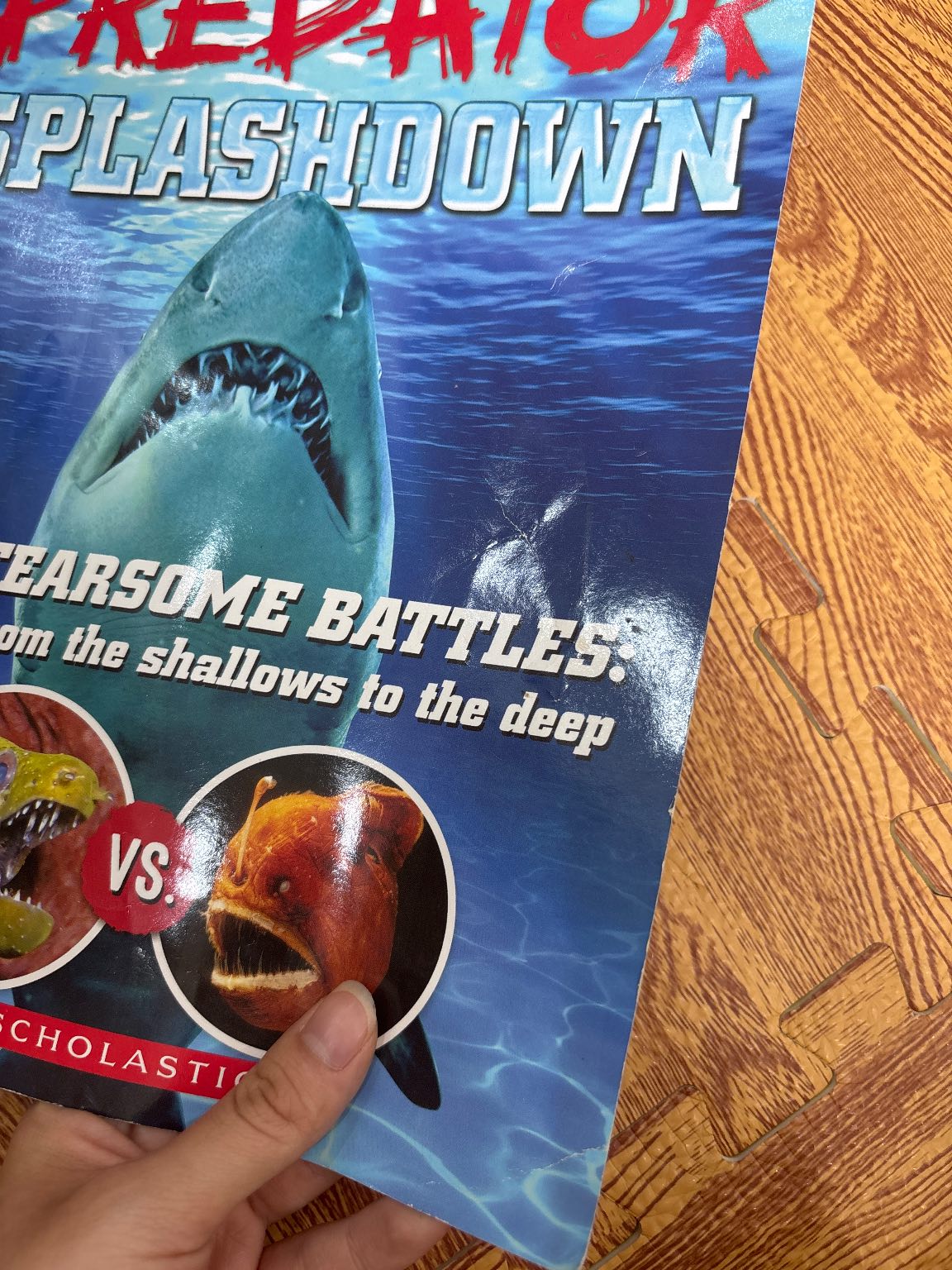 PREDATOR SPLASHDOWN — ảnh 7