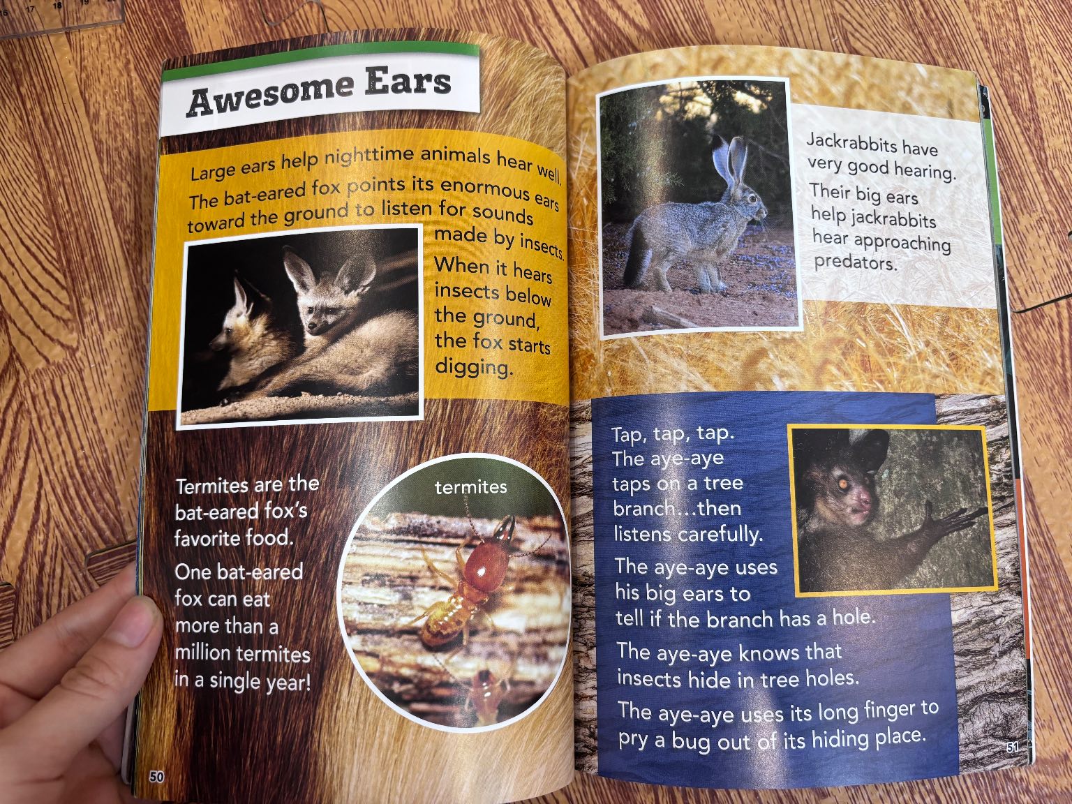 Amazing Animals — ảnh 4