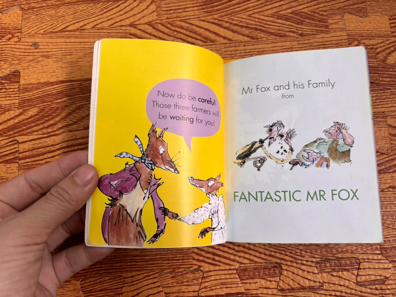 SET 2 CUỐN TRUYỆN ĐỌC ROALD DAHL: FANTASTIC FAMILIES & CLEVER TRICKS — ảnh 2