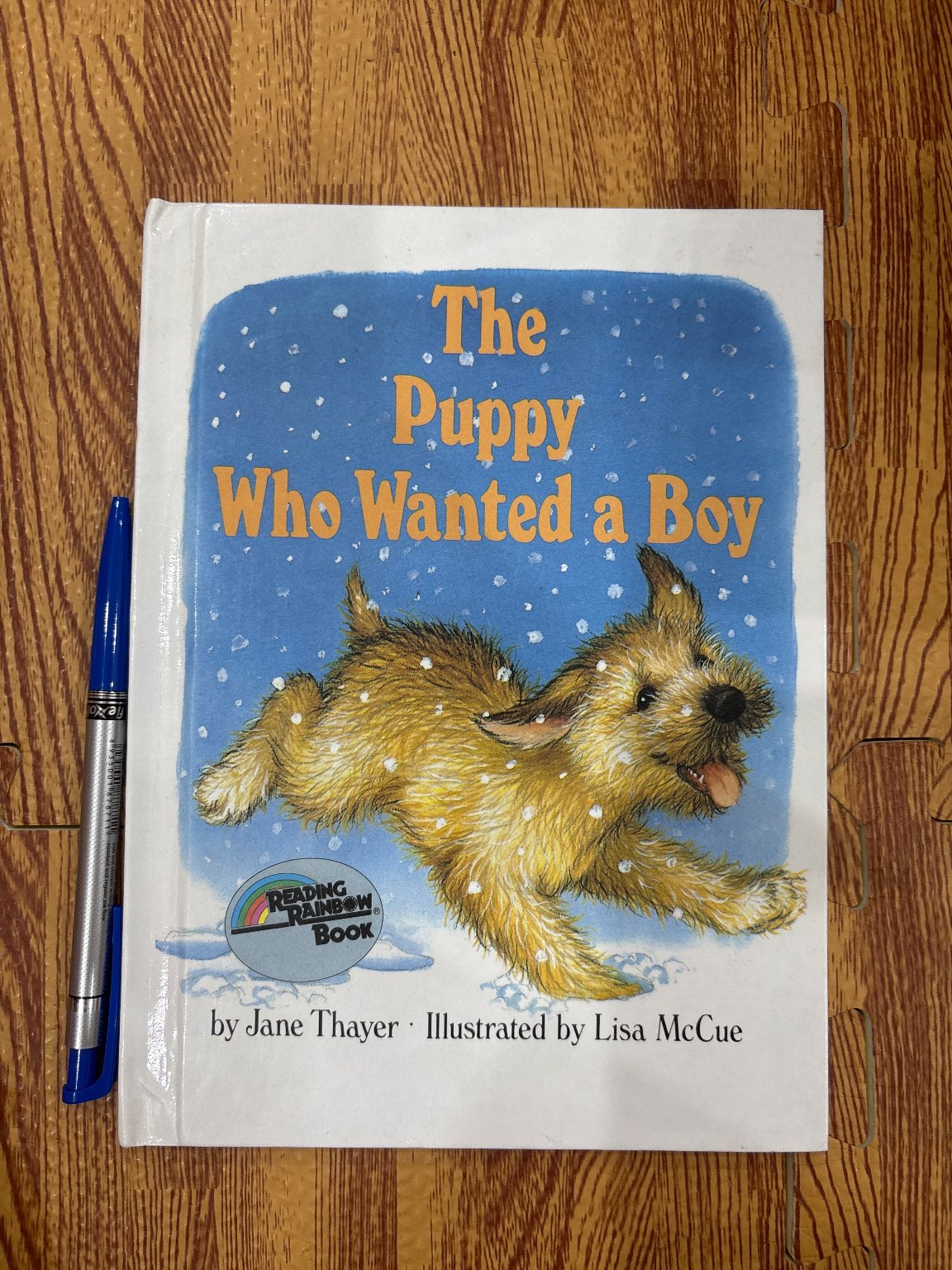 The Puppy Who Wanted a Boy